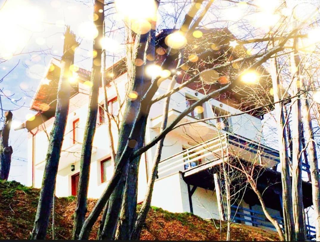 4Temporadas Villa Bran  Dış mekan fotoğraf