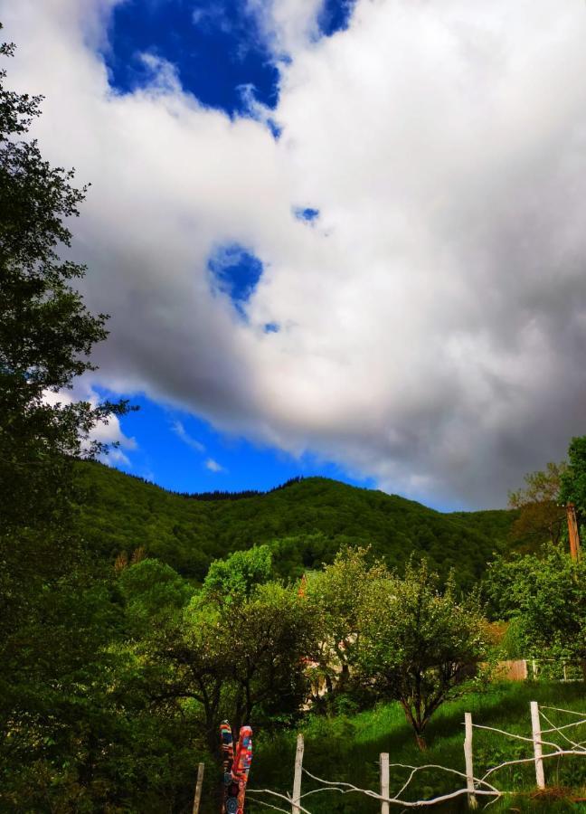 4Temporadas Villa Bran  Dış mekan fotoğraf