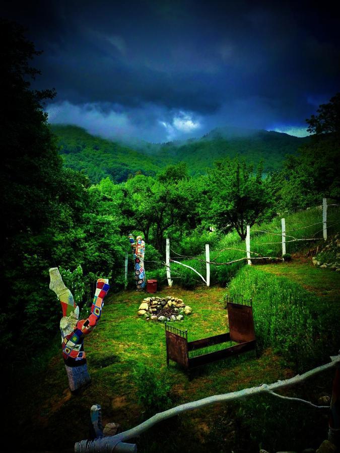 4Temporadas Villa Bran  Dış mekan fotoğraf